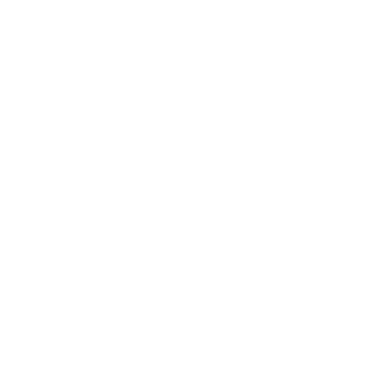 Anthropic